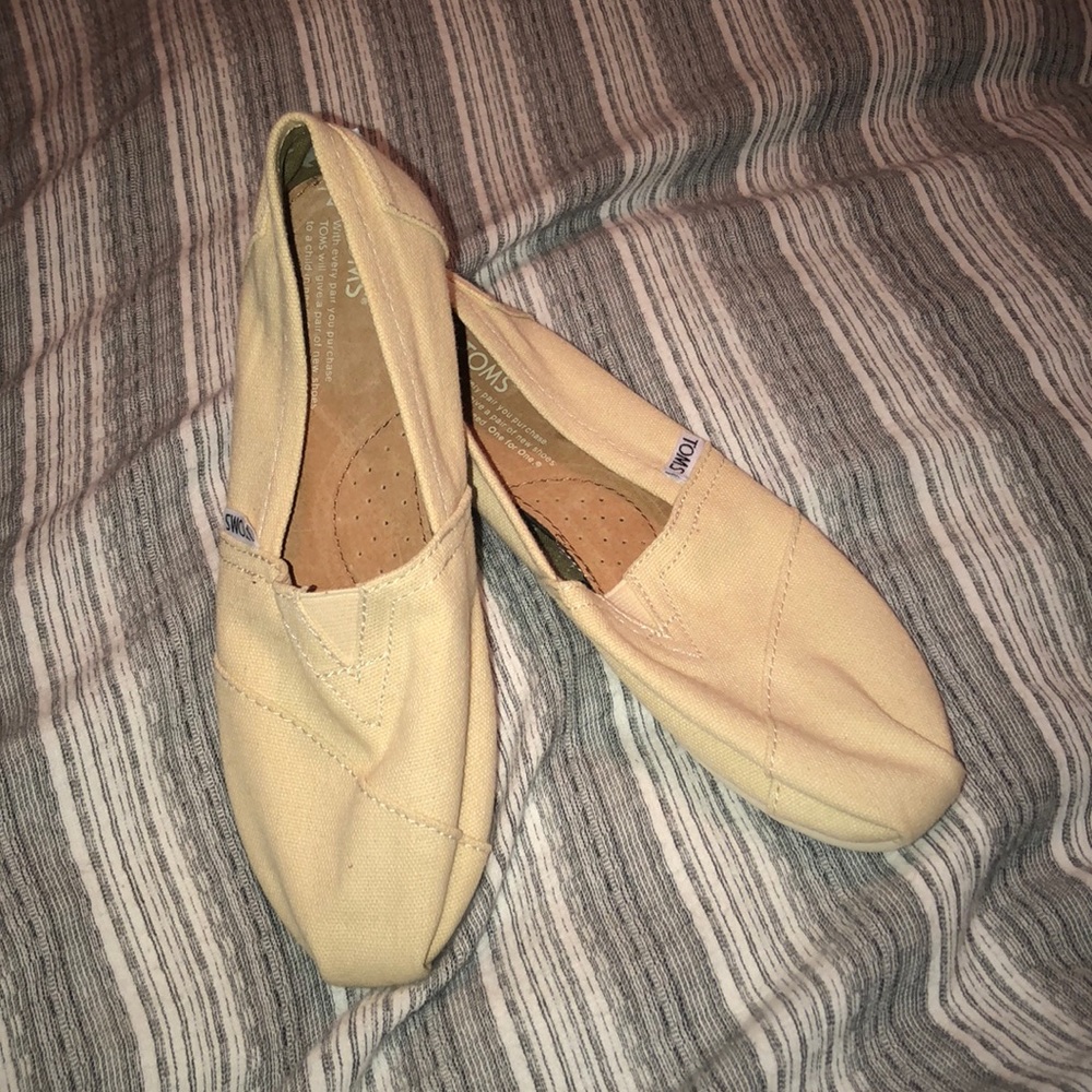 Cream Toms